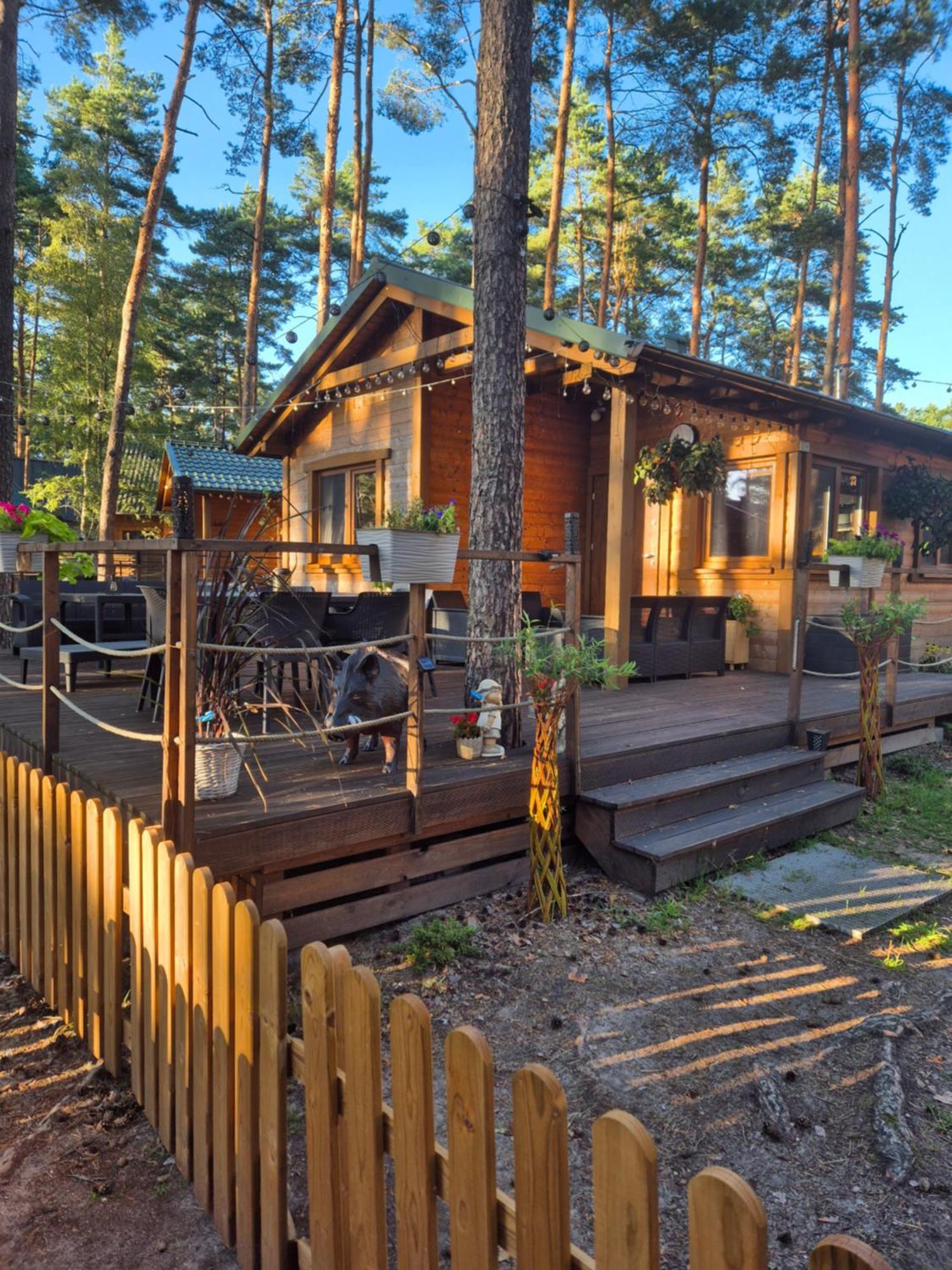 Hotel Dzik W Zagrodzie Borsk Exterior foto