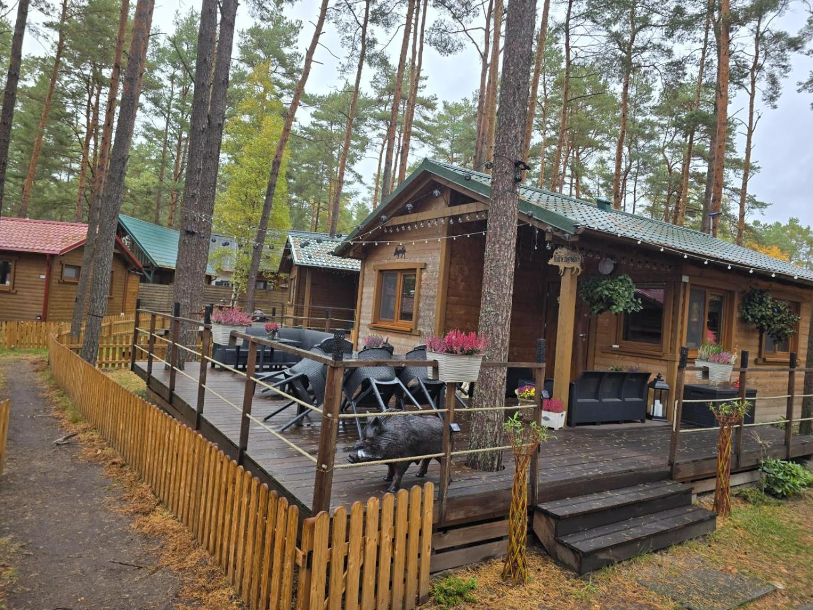 Hotel Dzik W Zagrodzie Borsk Exterior foto